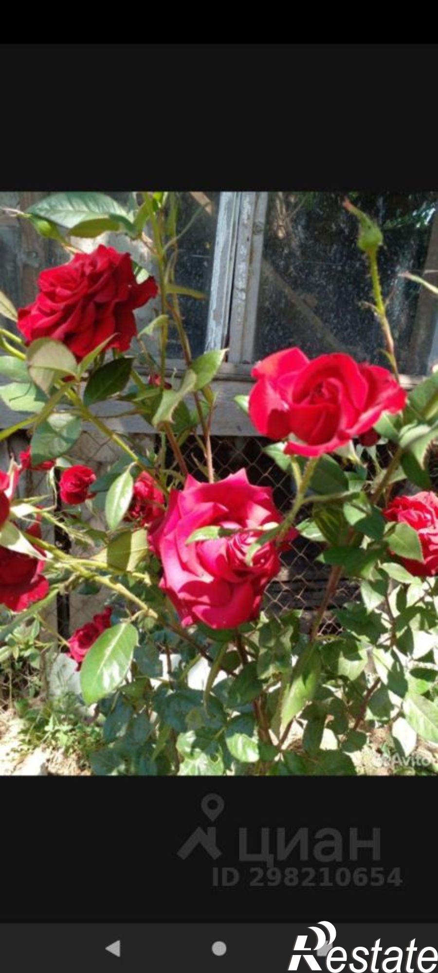 Купить дачу, дом, коттедж за 750 000 рублей на Аксайский район